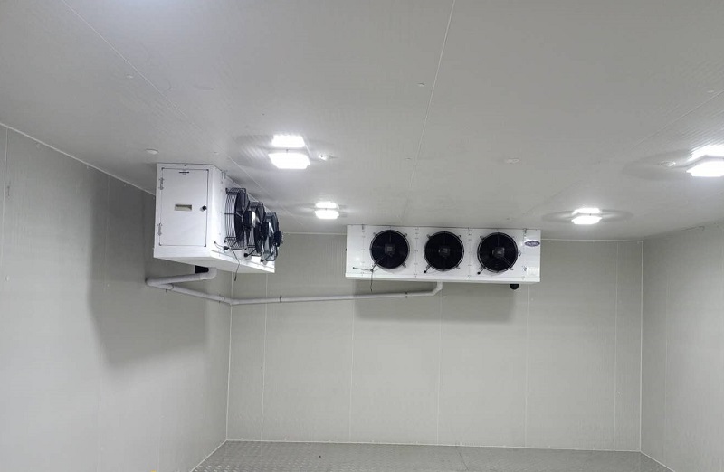 圖為中藥材飲片庫內部實拍