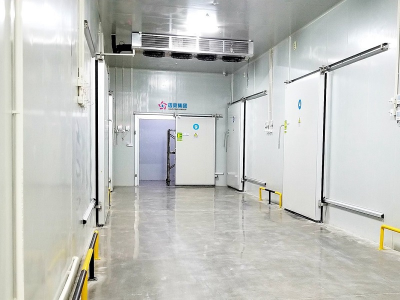 圖為醫藥冷庫分間過道內部實拍