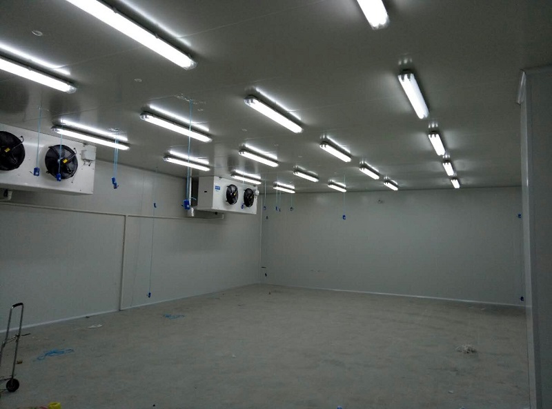 圖為藥品陰涼庫內部實拍